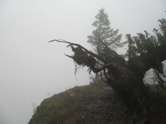 11.22.06 Cape Horn 008 